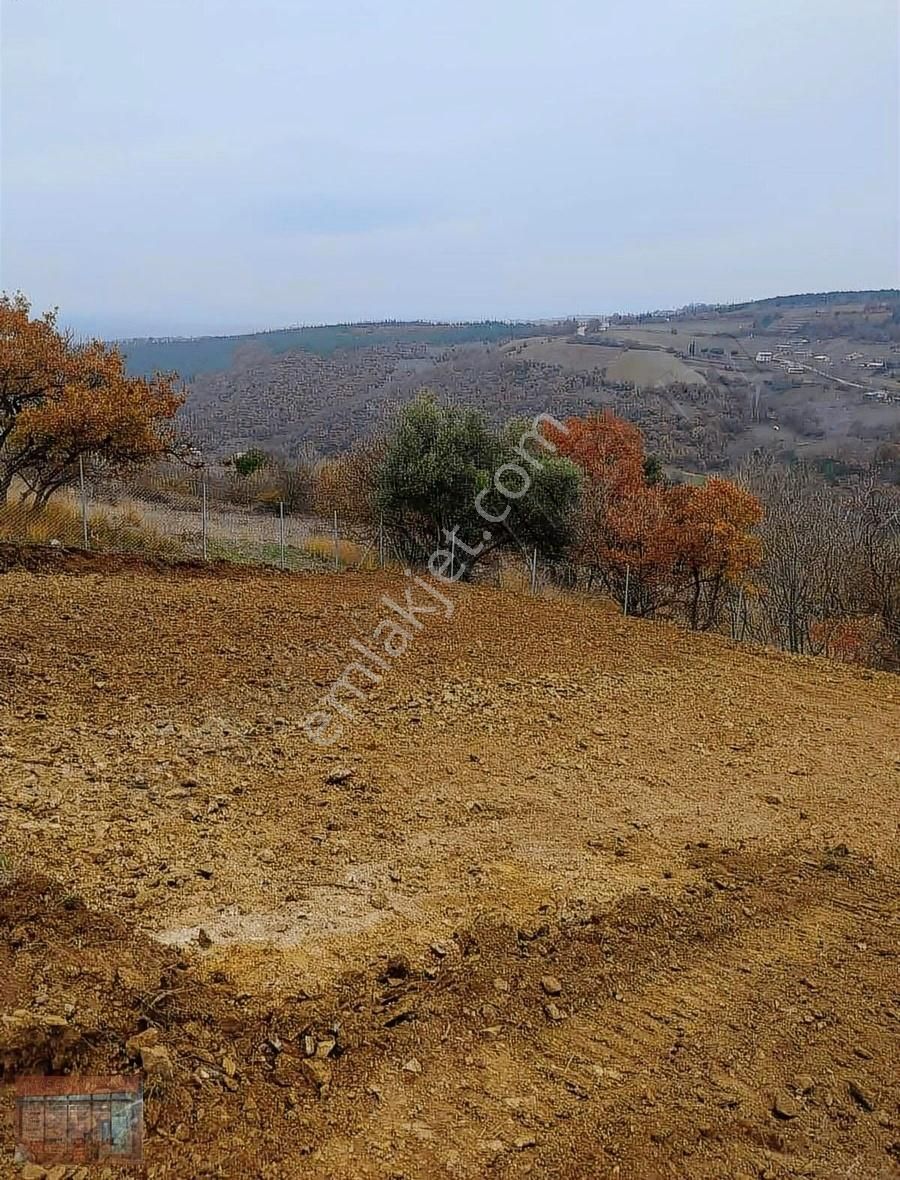 Aktaş 'tan İnegöl Karagölet Te Resmi Yola Cepe Tarla - Görsel 13