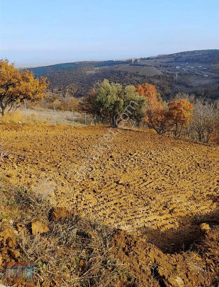 Aktaş 'tan İnegöl Karagölet Te Resmi Yola Cepe Tarla - Görsel 4