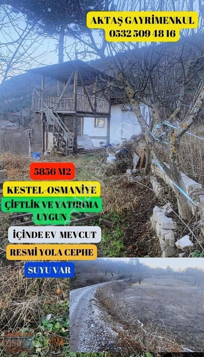 Kestel Osmaniye Satılık Tarla Aktaş'tan Kestel Osmaniye Satılık Bahçe Resmi Yola Cephe