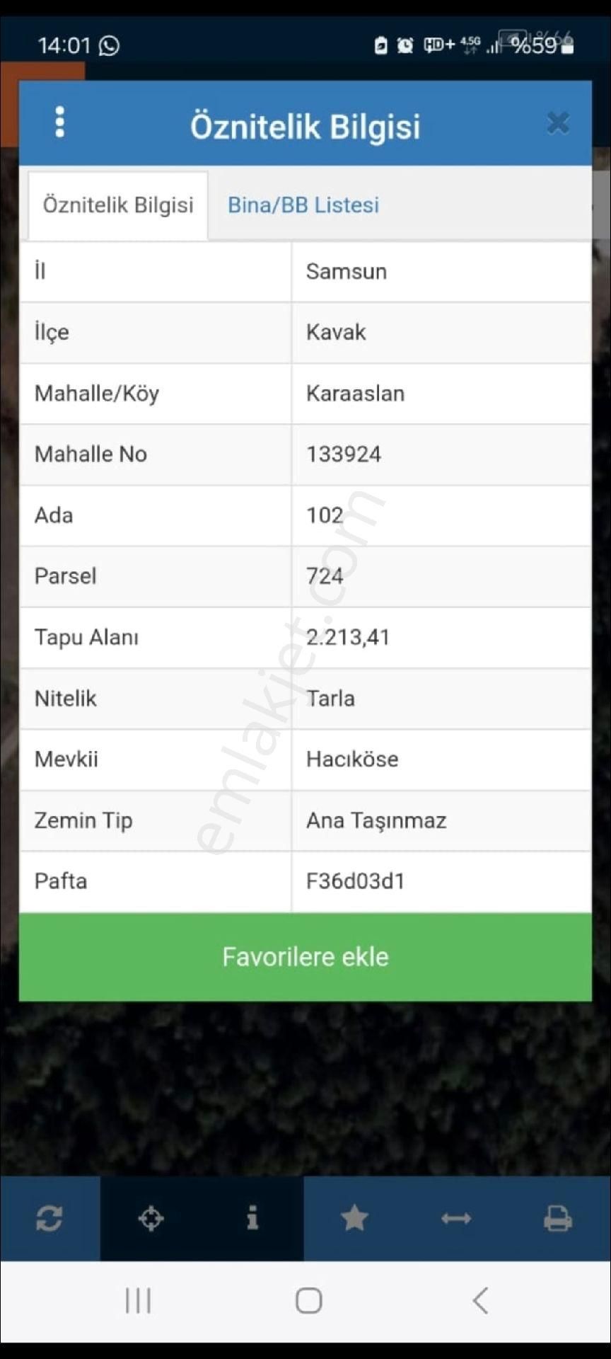 Kavak Karaaslan Müstakil Tarla Ve Fındık Bahçesi - Görsel 6