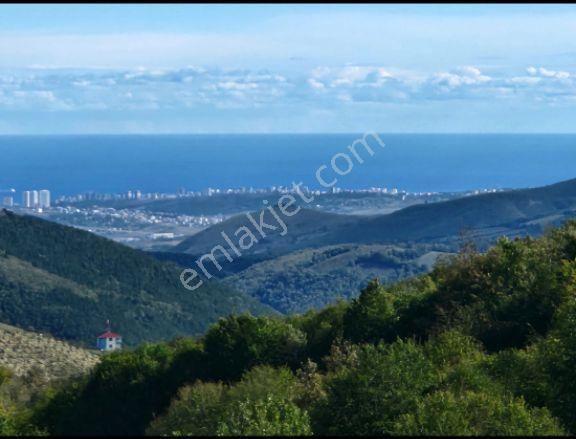 Kavak Karaaslan Satılık Tarla Kavak Karaaslan Müstakil Tarla