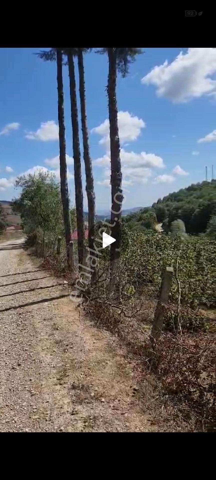 Kavak Karaaslan Müstakil Tarla Ve Fındık Bahçesi - Görsel 4