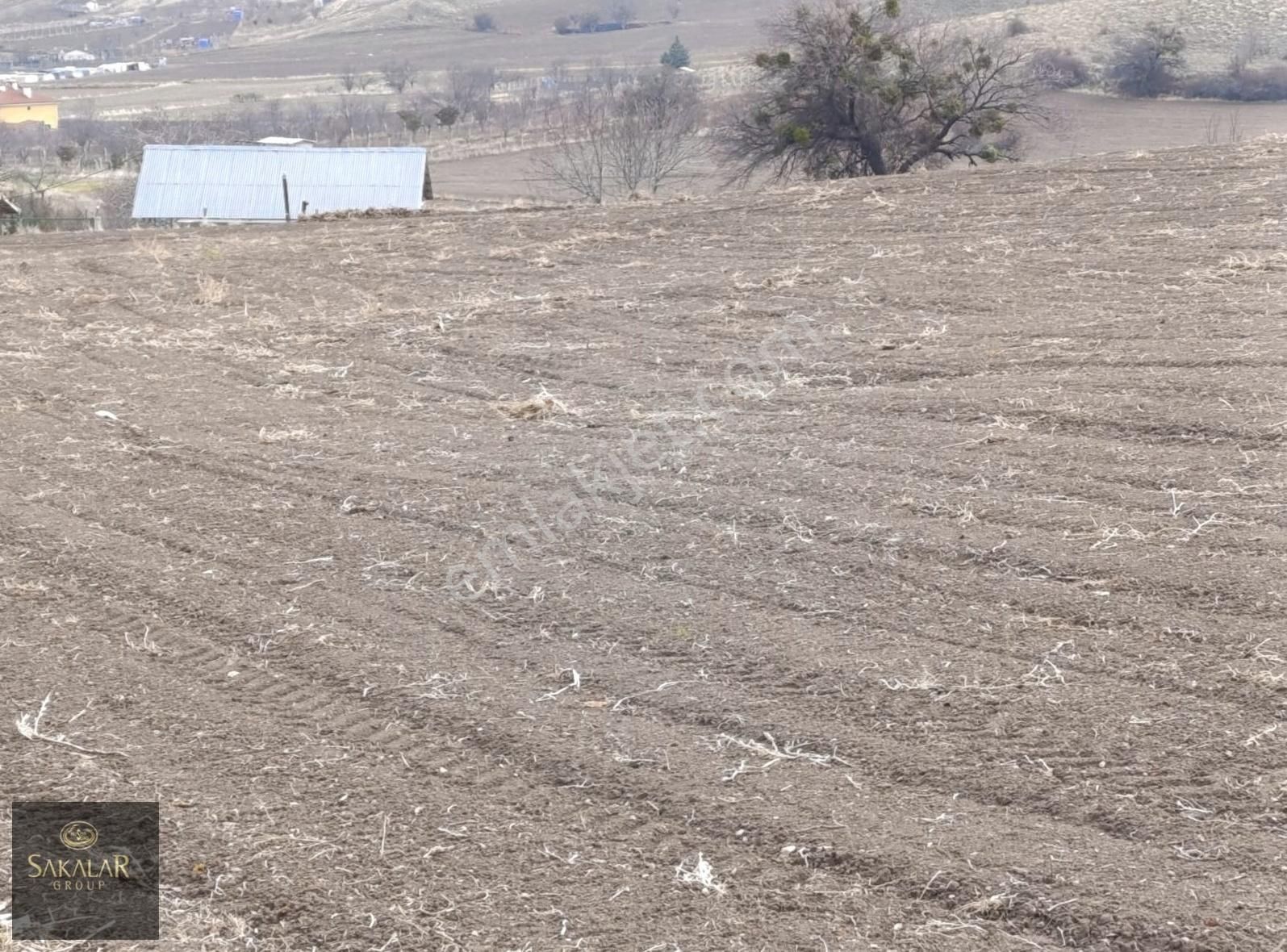 Çubuk Aşağıçavundur Satılık Bağ & Bahçe Sakalar Emlak'tan Çubuk Aşağıçavundur Mh. Satılık Hobi Bahçesi !