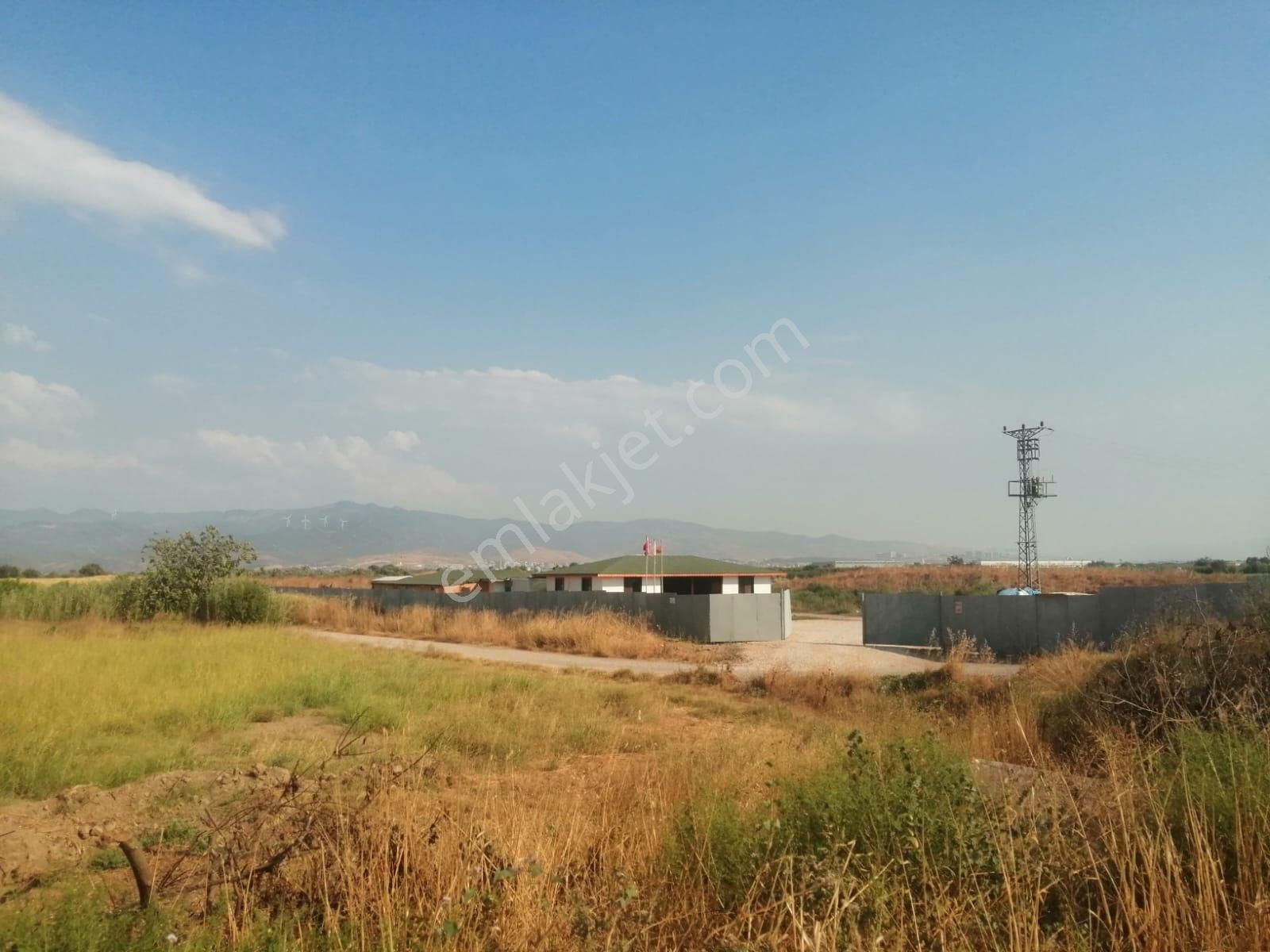 Menemen De 1500 M2 Asfalt Yol Üzerinde Satılık Kupon Tarla - Görsel 5