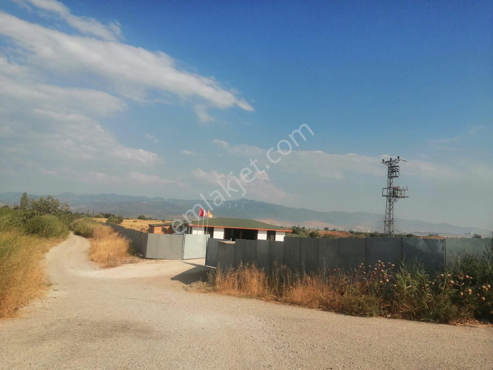 Menemen De 1500 M2 Asfalt Yol Üzerinde Satılık Kupon Tarla - Görsel 7