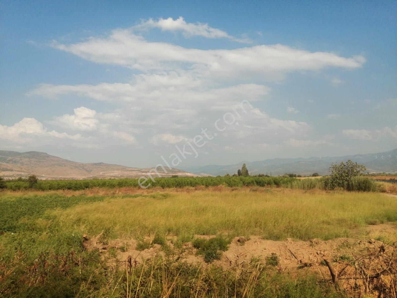 Menemen De 1500 M2 Asfalt Yol Üzerinde Satılık Kupon Tarla - Görsel 6