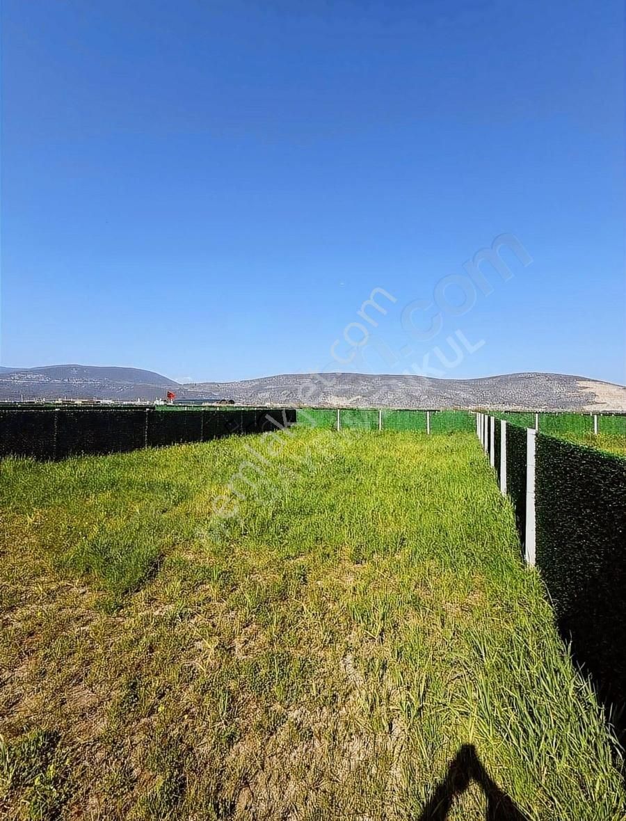 My-gayrimenkul Bodrum Havalimanına 5dk Mesafede Hobi Bahçeleri - Görsel 8