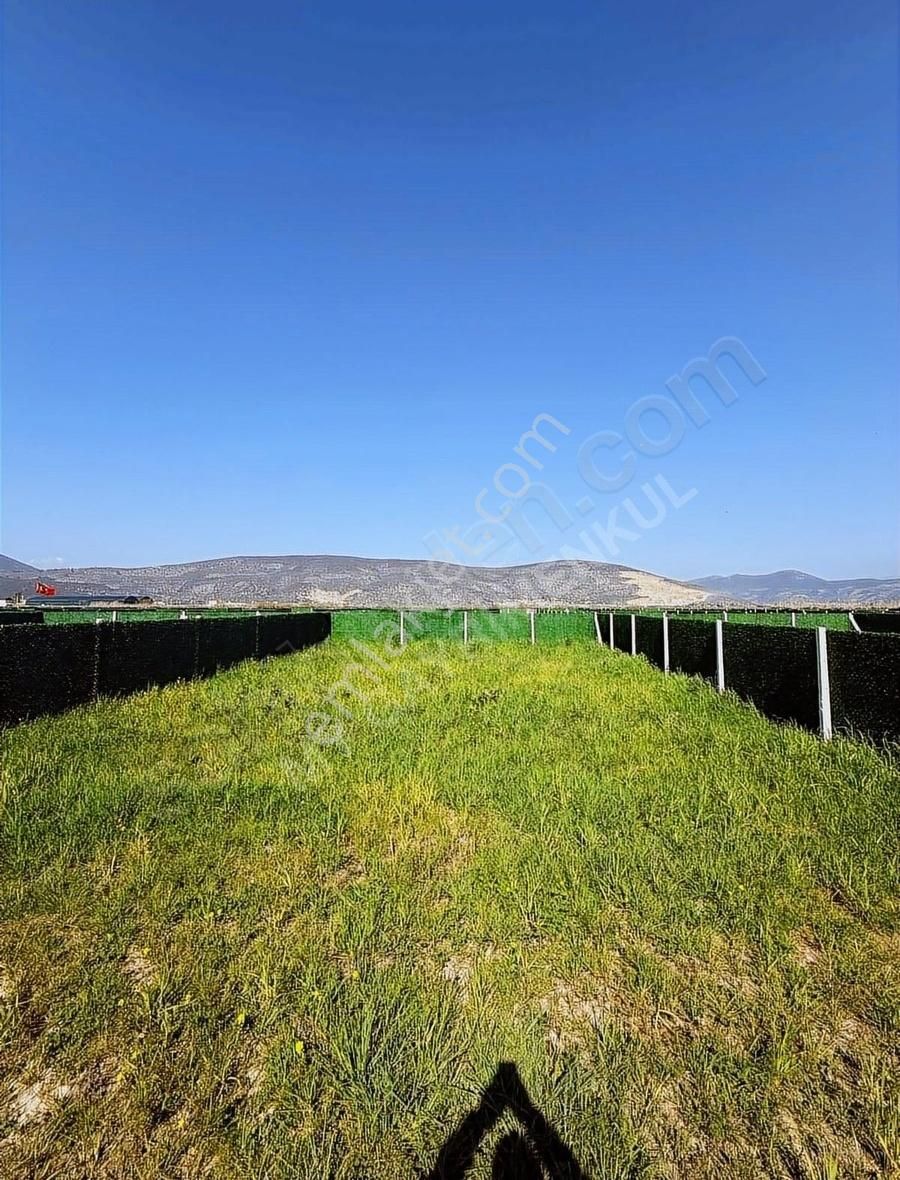 My-gayrimenkul Bodrum Havalimanına 5dk Mesafede Hobi Bahçeleri - Görsel 4