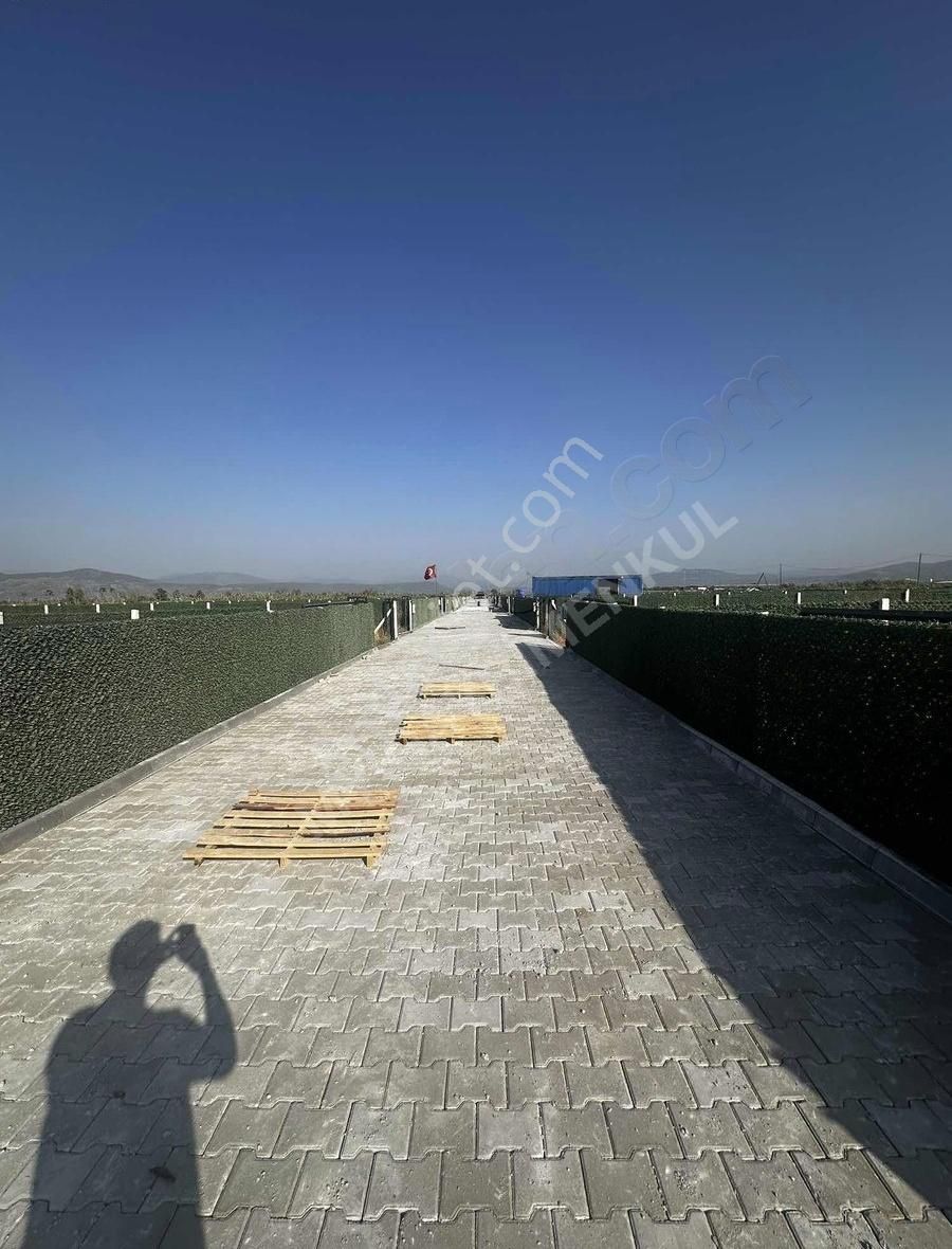 My-gayrimenkul Bodrum Havalimanına 5dk Mesafede Hobi Bahçeleri - Görsel 5