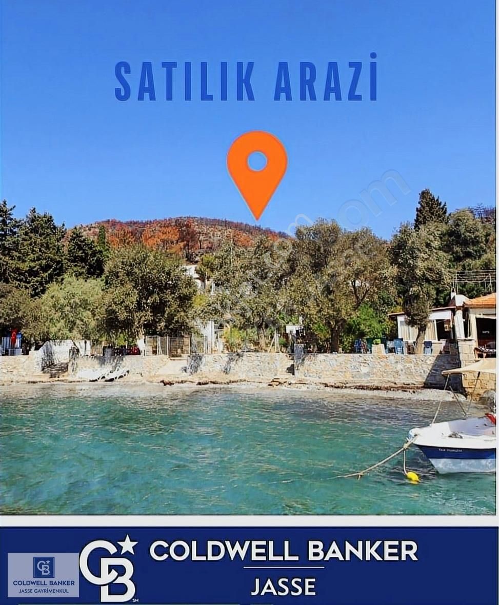 Bodrum Mazıköy Satılık Zeytinlik Bodrum Mazı Koyunda 3690 M² Fırsat Arsa