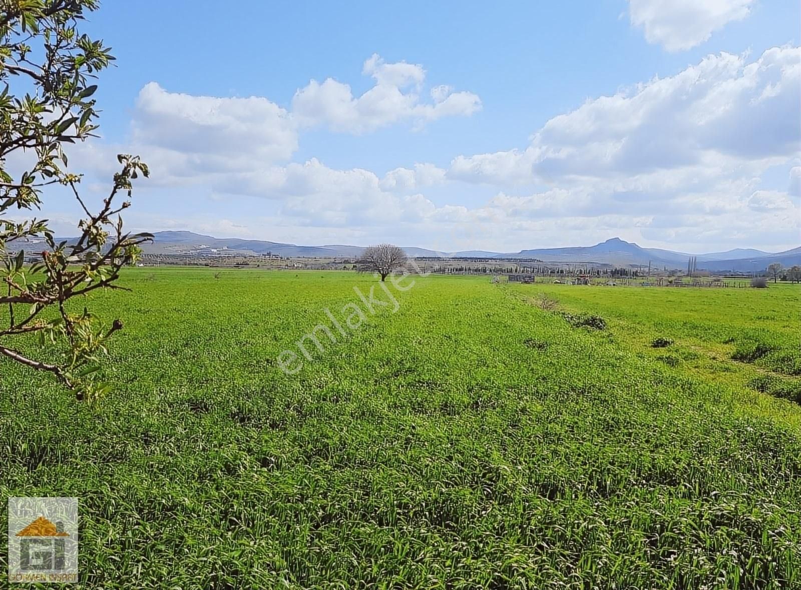 Aliağa Güzelhisar Satılık Tarla Aliağa Güzelhisar Beylikçayır,da Satılık Tarla