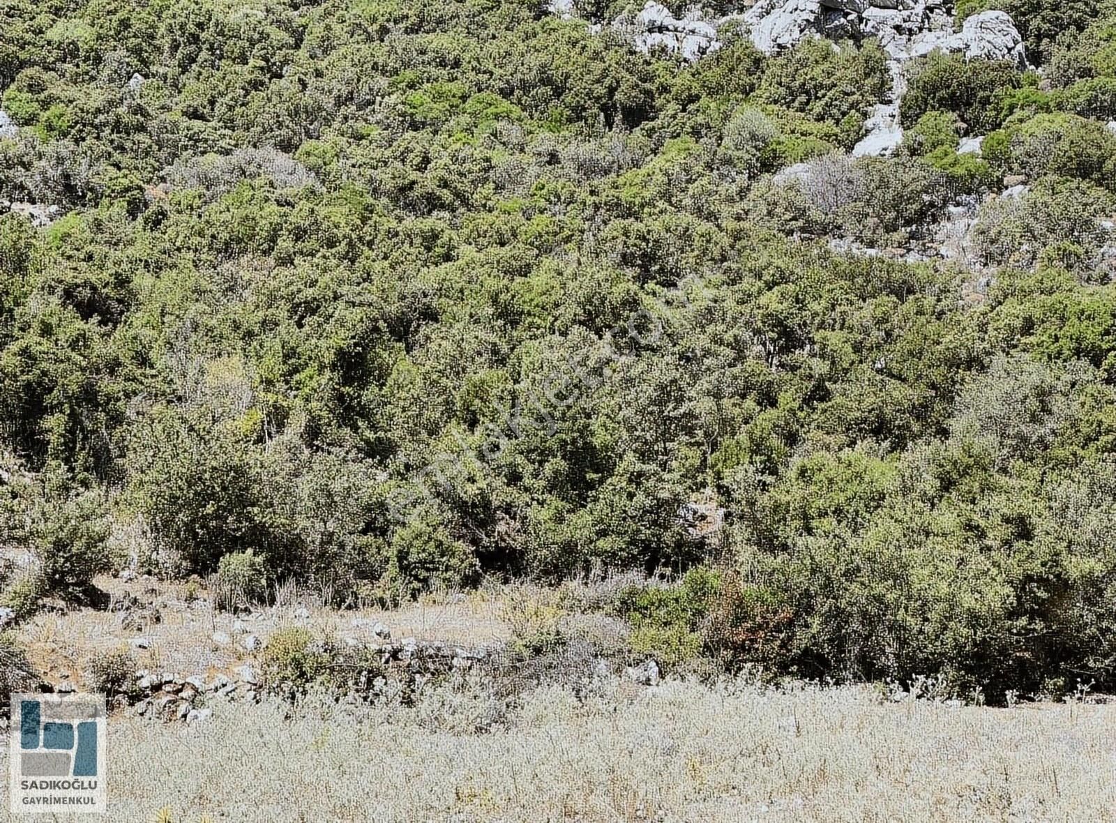 Marmaris Selimiye Satılık Tarla Sadıkoğlu Gayrimenkulden Yatırım Fırsatı