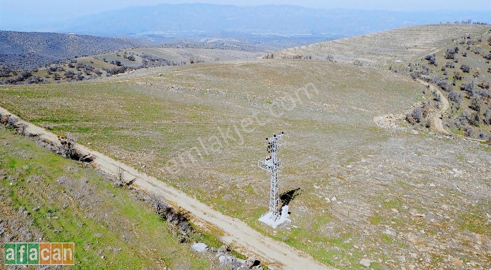 Salihli Eminbey Satılık Tarla Salihlide Satılık 257 Dönüm Dikime Hazır Tarım Arazisi