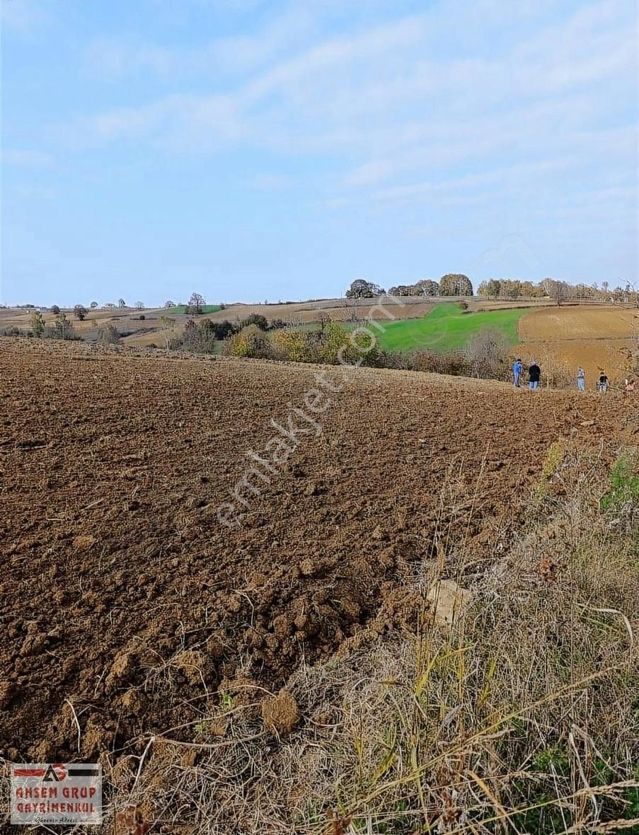 Kandıra Sarıcaali Satılık Tarla Kandıra Sarıcaalide Yatırımlık Yol Kenarı Satılık Tarla