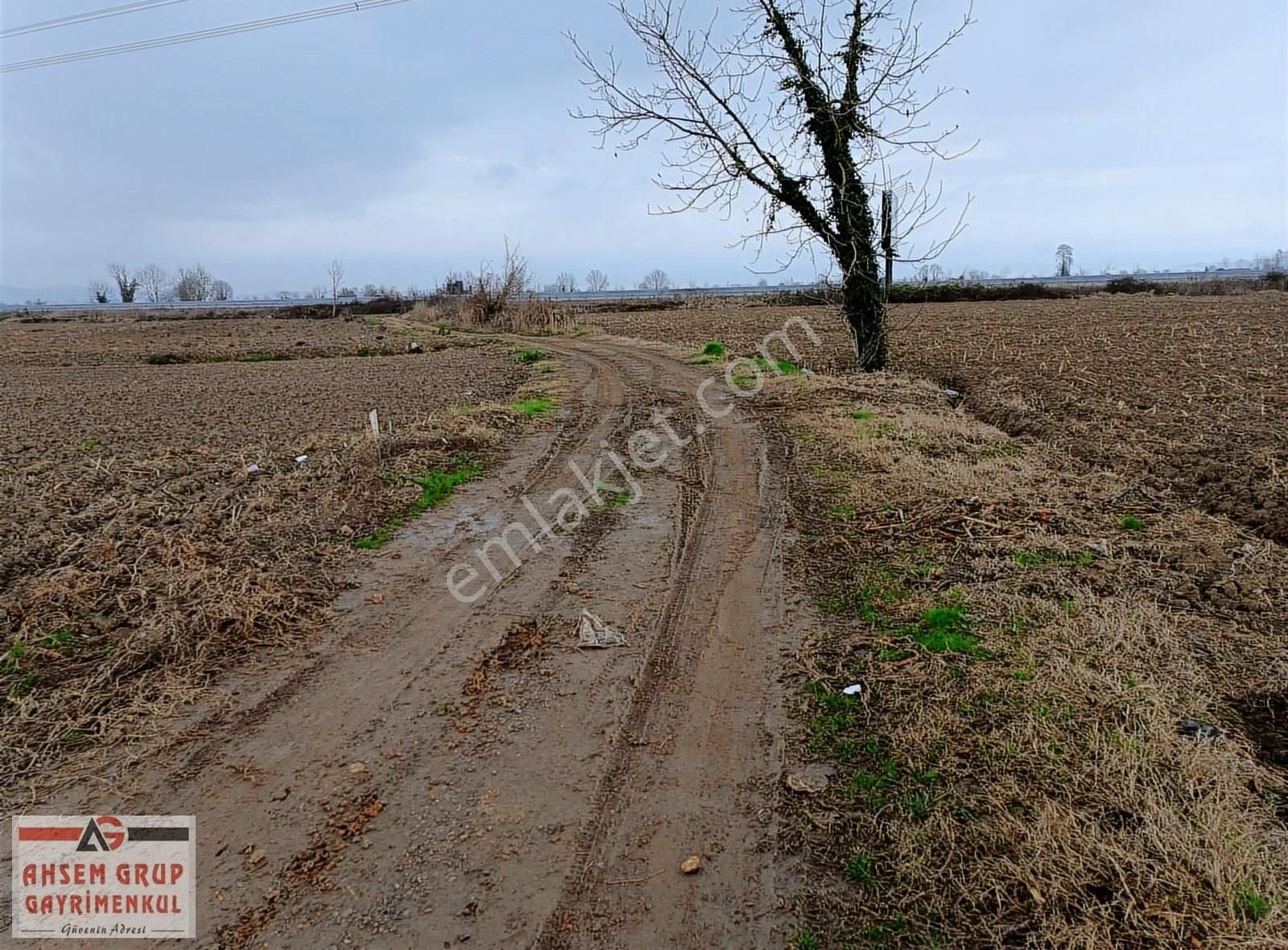 Adapazarı Budaklar Satılık Tarla Budaklarda Resmi Yol Kenarında Hobi Bahçesine Uygun 270 M2 Tarla