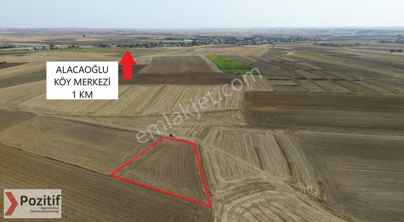 Lüleburgaz Alacaoğlu Köyü Satılık Tarla Alacaoğlu 4250 M2 Satılık Tarla