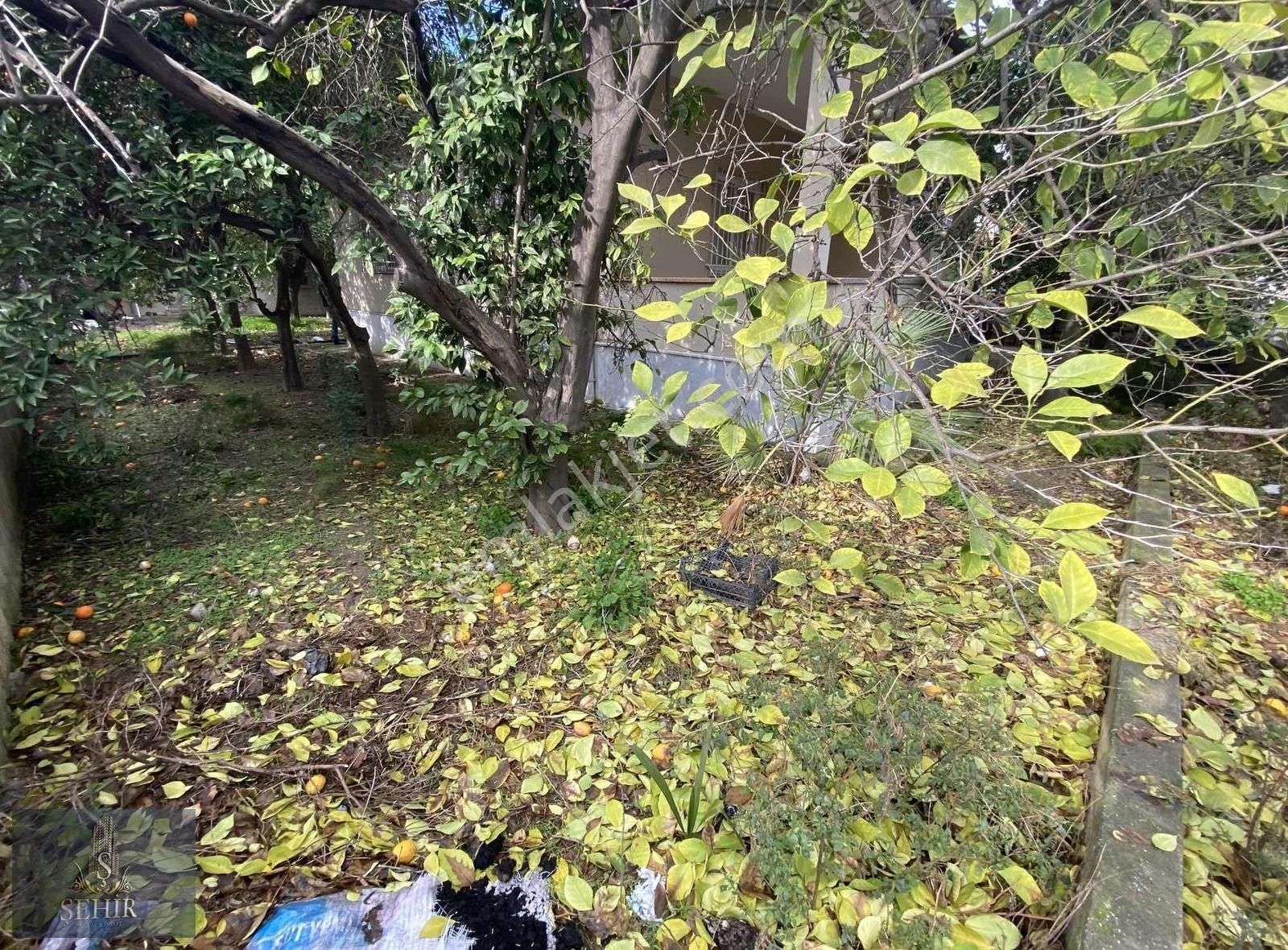 ***şehir'den***şirinevler Mh. 630m2 Arsa/müstakil Ev** - Görsel 23