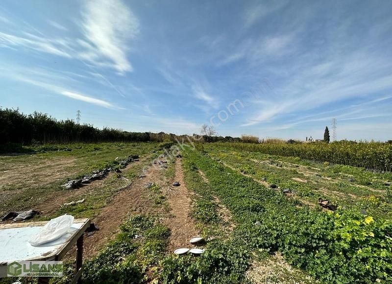 Havutlu'da_karataş_yoluna_yakın_bedii_topçu Okulu_civarı_4000_m2 - Görsel 2