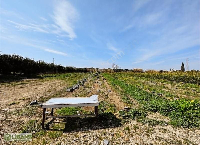 Yüreğir Havutlu Satılık Tarla Havutlu'da_karataş_yoluna_yakın_bedii_topçu Okulu_civarı_4000_m2