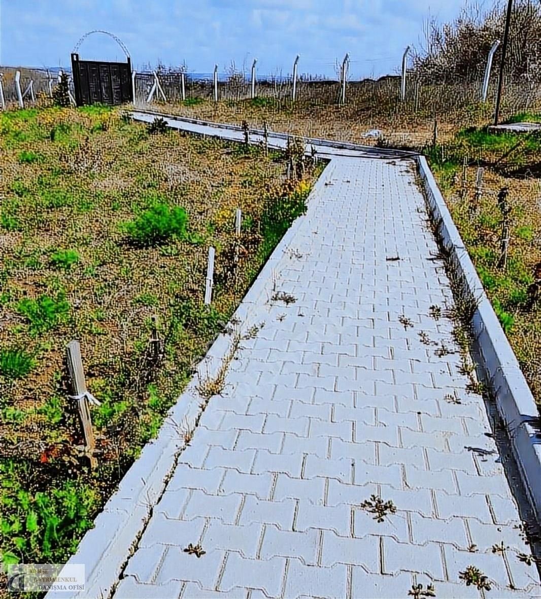 Çatalca İnceğiz Satılık Tarla Çatalca İnceğiz 1200 Metre İçerisinde Evi Olan Bahçeli Ev