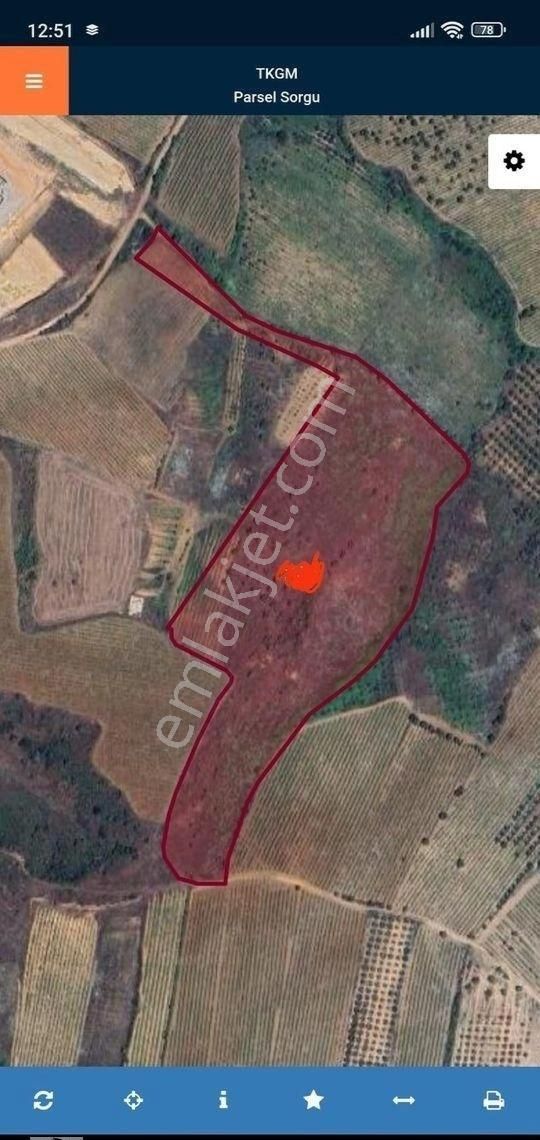 Turgutlu Çepnidere Satılık Tarla Turgutlu Satılık Çepnidere Mah 35.200m2 Kadastura Yolu Açık Asfalta Sıfır İmara Sıfır Tarla