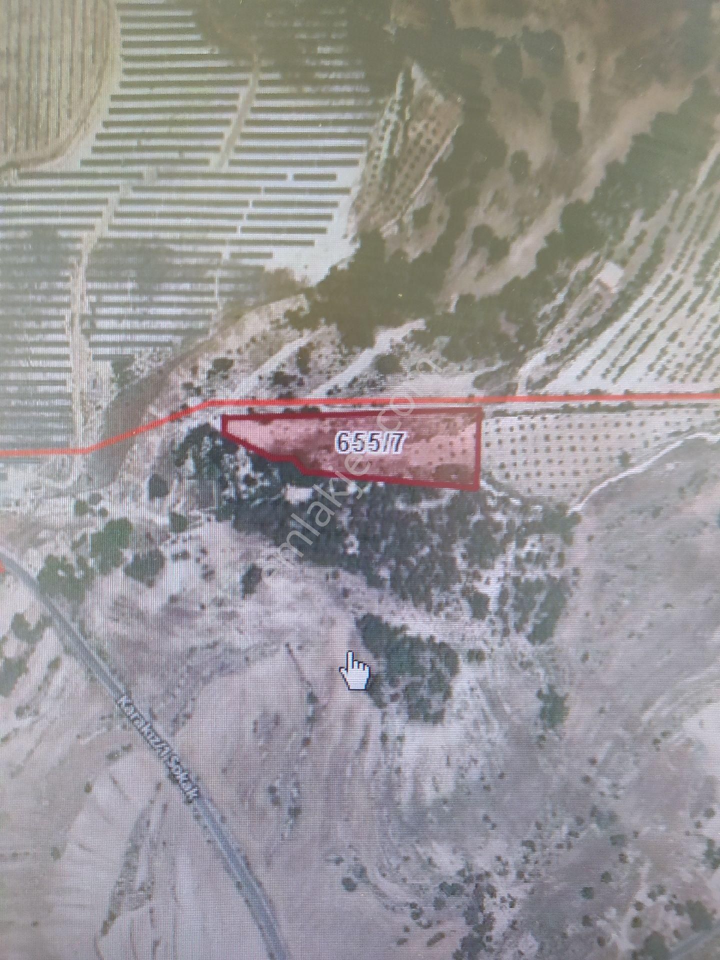 Aydıncık Emlaktan Satılık Sarıkavakta Tarla - Görsel 3