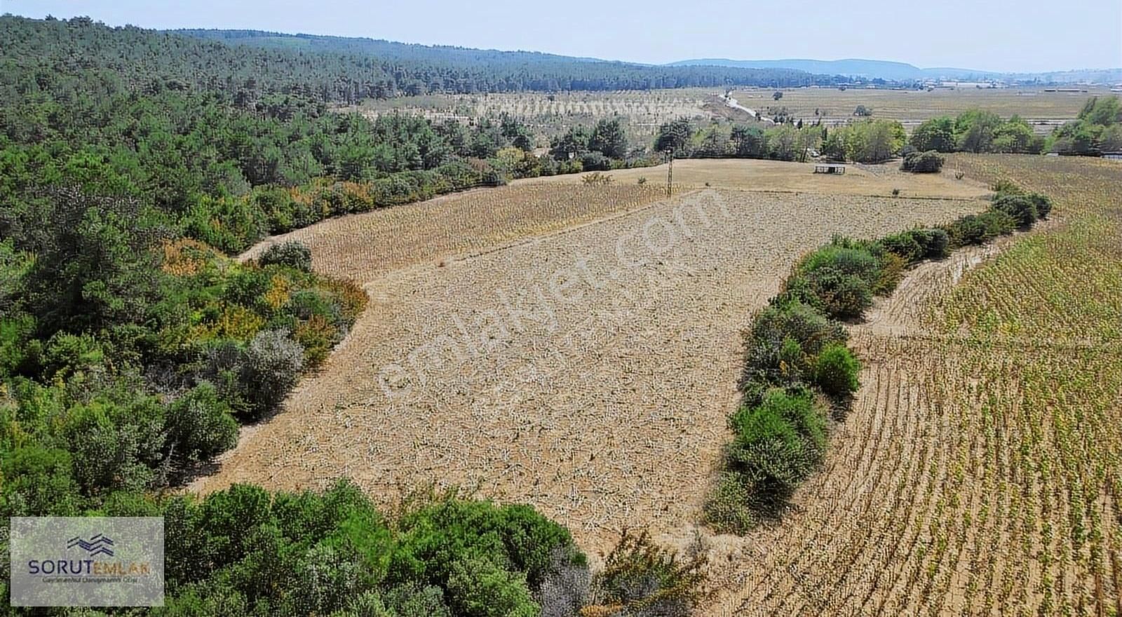 Keşan Çeltik Köyü Satılık Tarla Mecidiye Köy'ü Anayola Yakın Konumda Satılık 4800 M2 Tarla