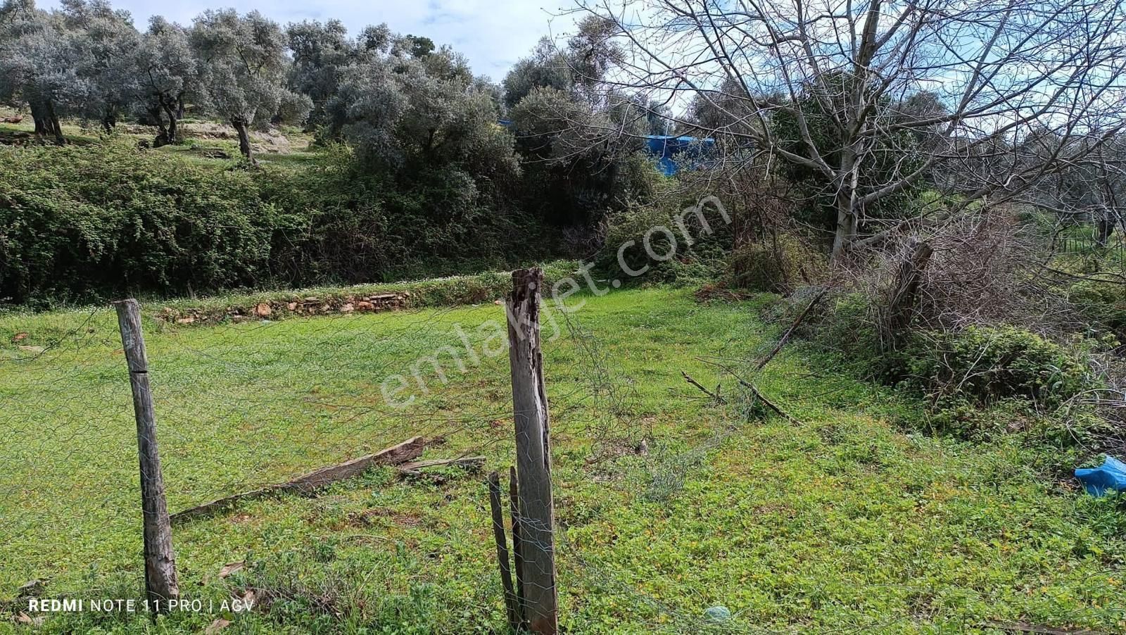 Torbalı Çapak Satılık Tarla Çapakta 700 Metre Tarla