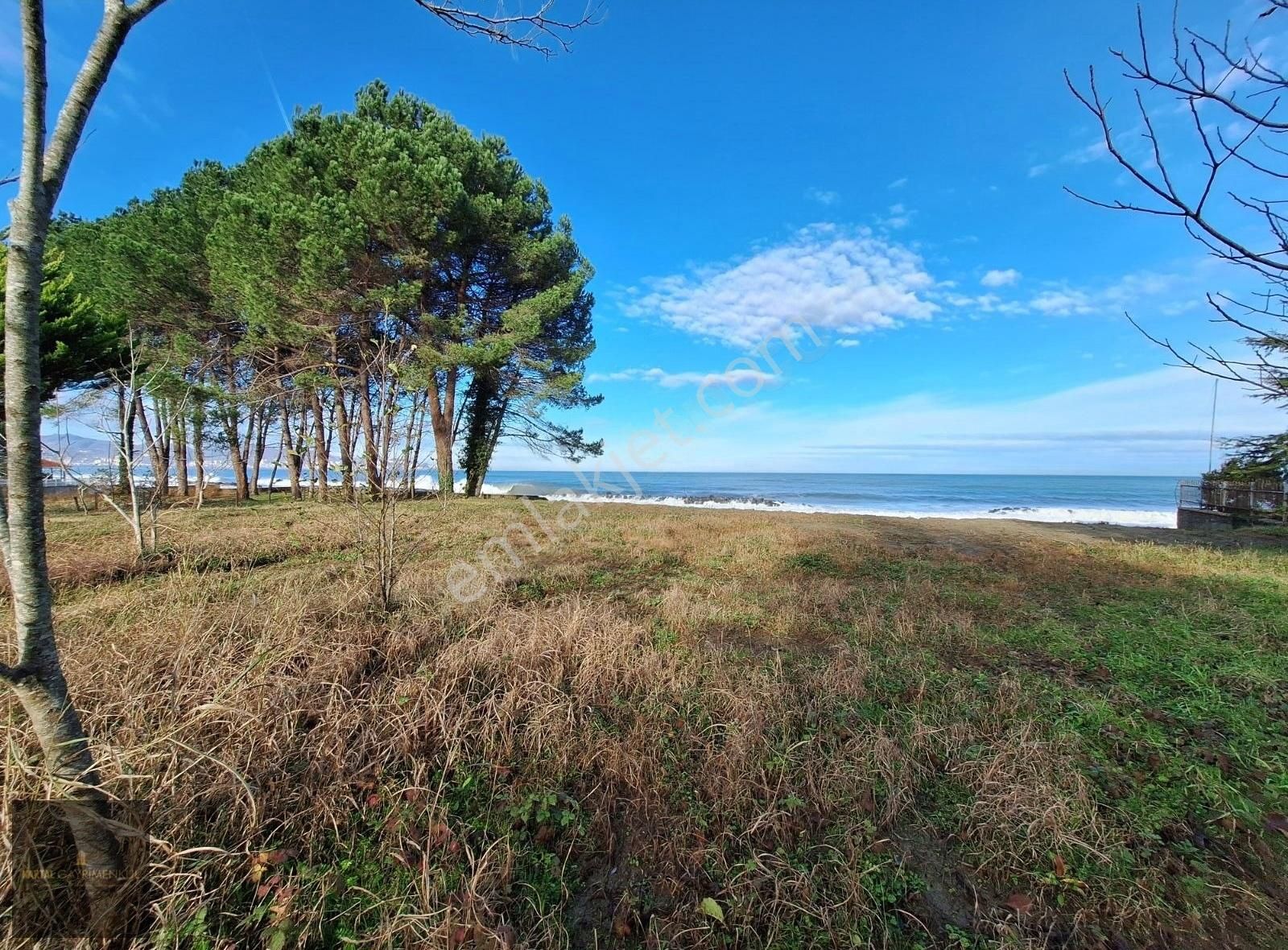 Fatsa Güvercinlik Satılık Villa İmarlı Bolamanda Deniz Kenarında İster Villa İster Turizm İmarlı Arsa