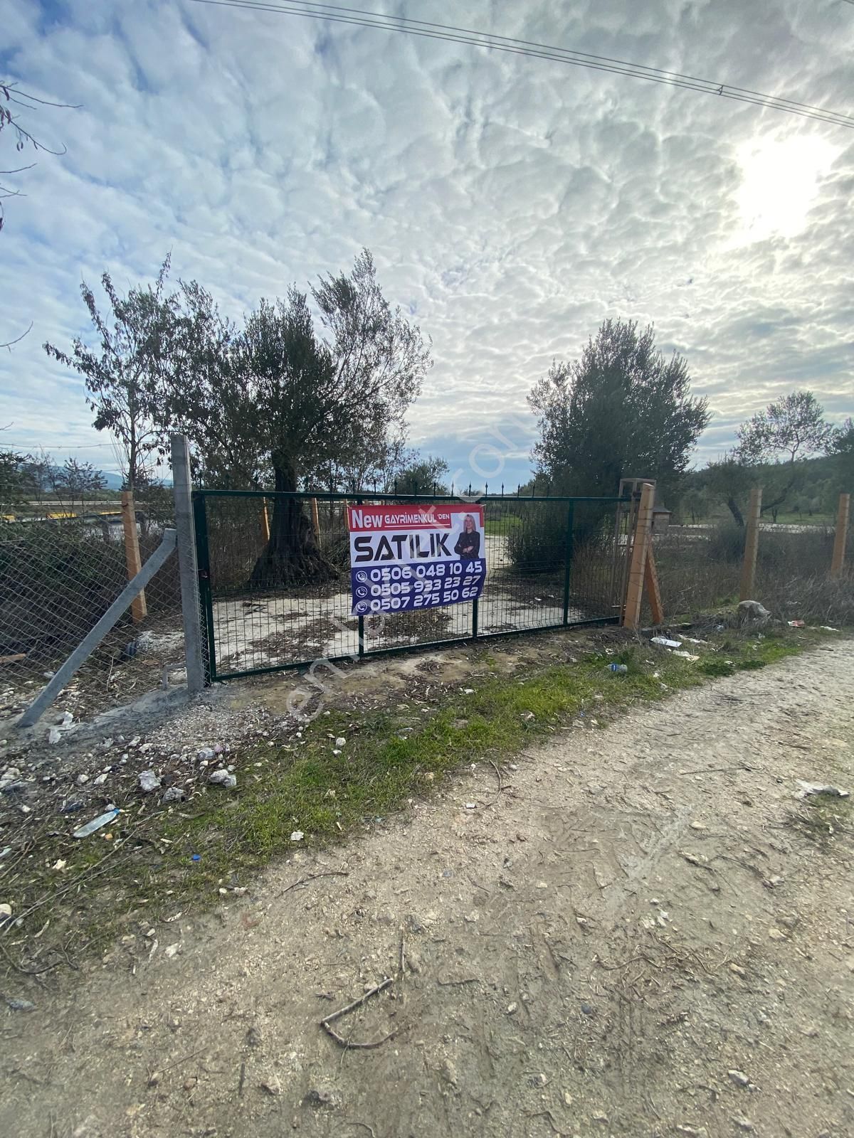 New Gyo 'dan Bakır Mevki Ana Yola Sıfır 1.525 M2 Satılık Zeytinlik - Görsel 11