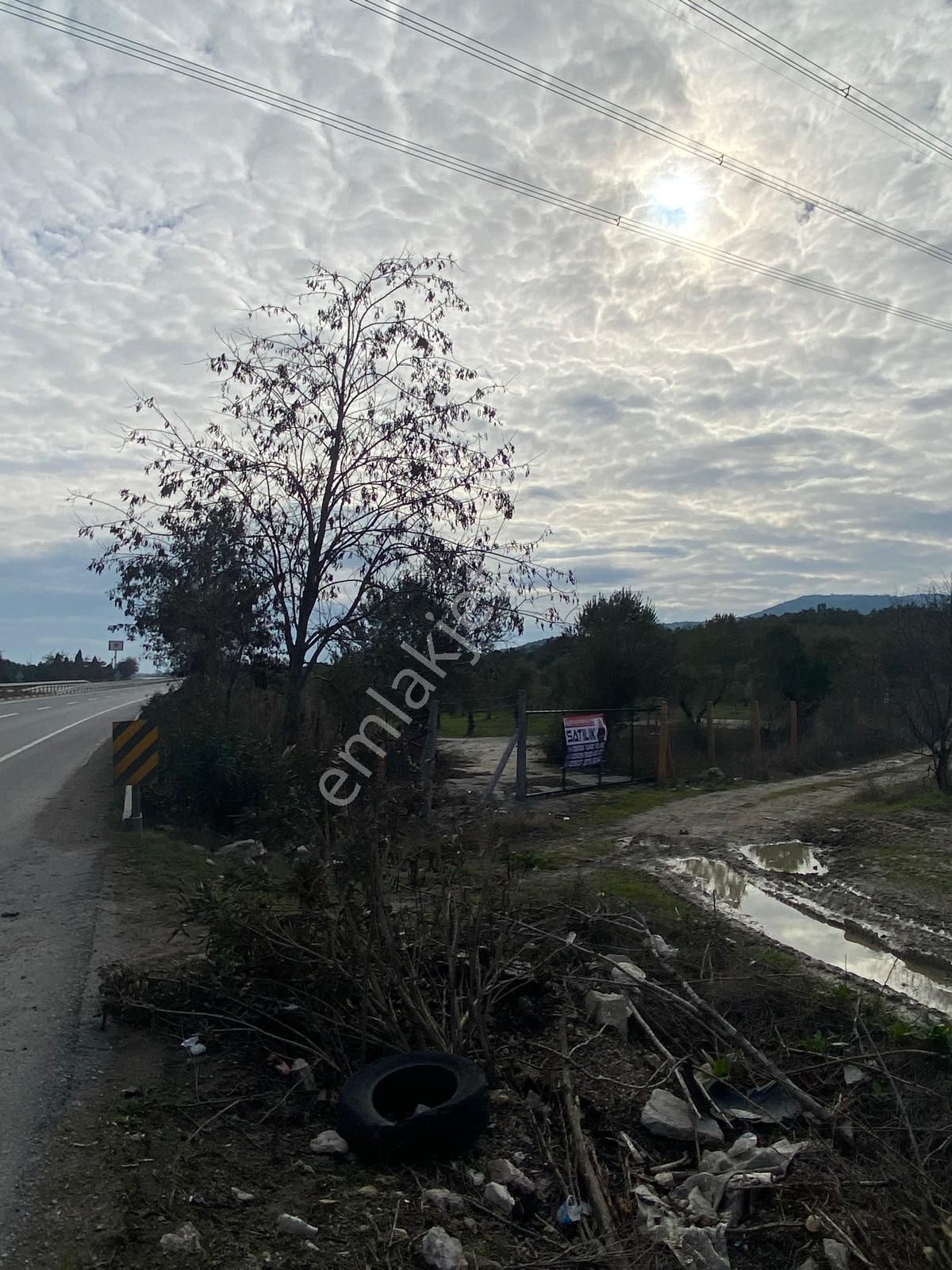 New Gyo 'dan Bakır Mevki Ana Yola Sıfır 1.525 M2 Satılık Zeytinlik - Görsel 15