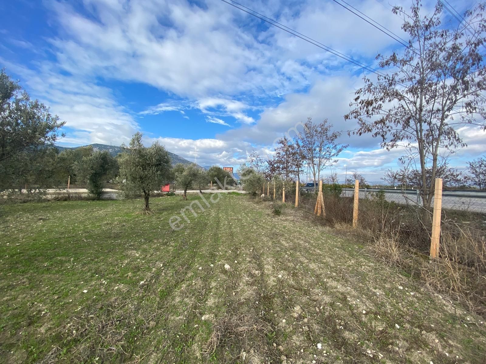 New Gyo 'dan Bakır Mevki Ana Yola Sıfır 1.525 M2 Satılık Zeytinlik - Görsel 3