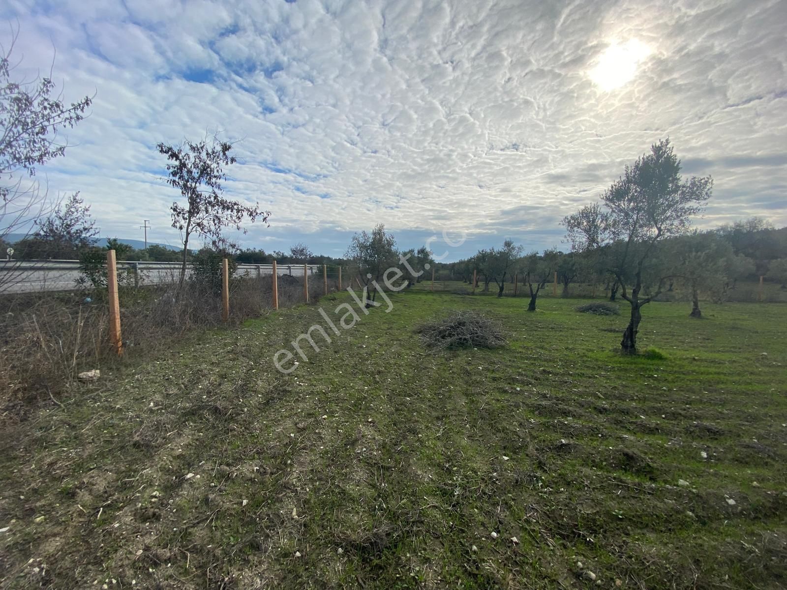 New Gyo 'dan Bakır Mevki Ana Yola Sıfır 1.525 M2 Satılık Zeytinlik - Görsel 9