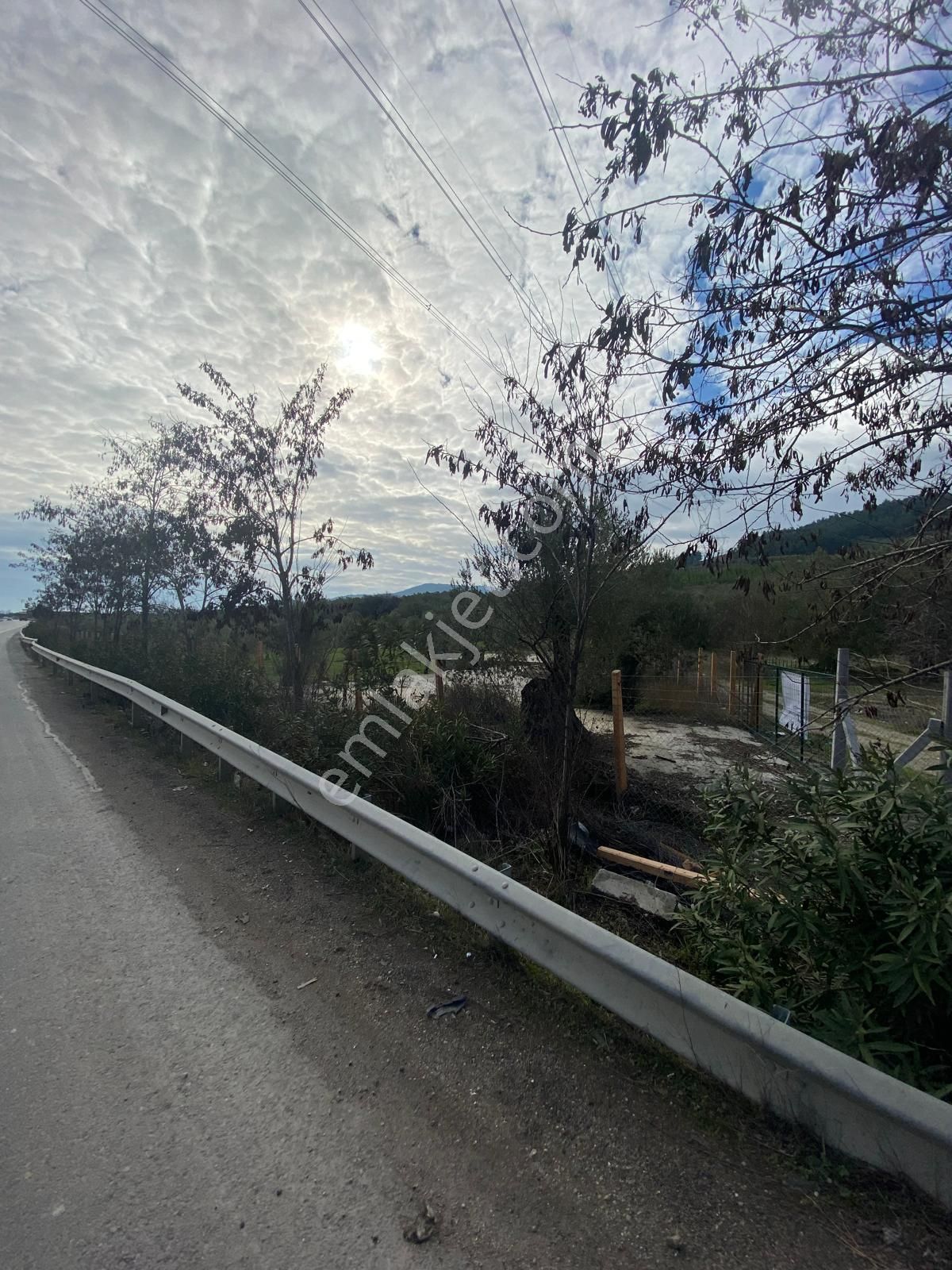 New Gyo 'dan Bakır Mevki Ana Yola Sıfır 1.525 M2 Satılık Zeytinlik - Görsel 13