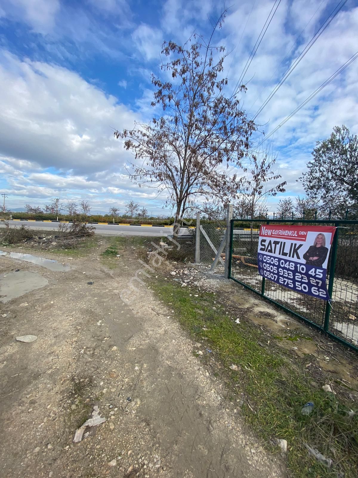 New Gyo 'dan Bakır Mevki Ana Yola Sıfır 1.525 M2 Satılık Zeytinlik - Görsel 12