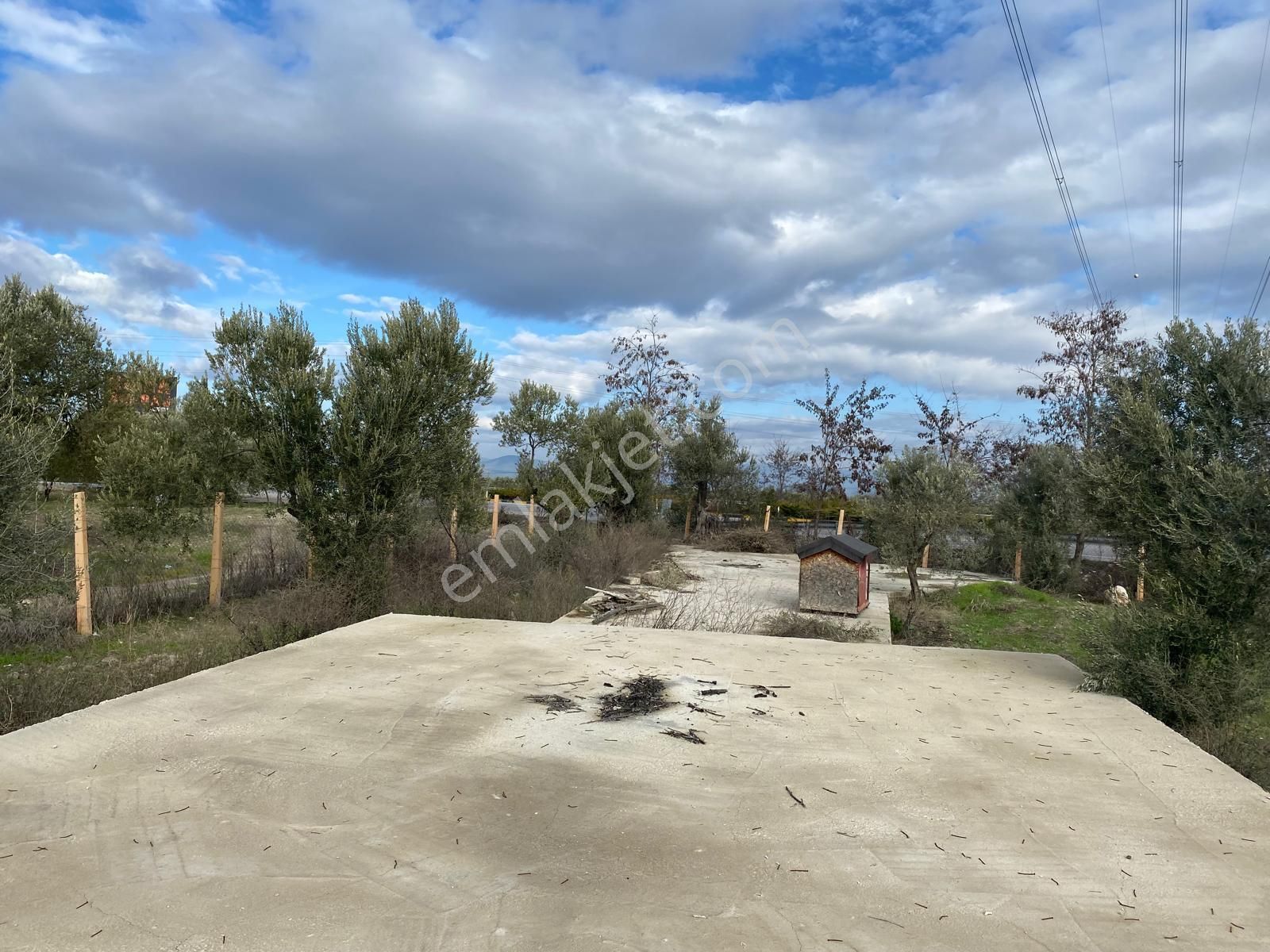 New Gyo 'dan Bakır Mevki Ana Yola Sıfır 1.525 M2 Satılık Zeytinlik - Görsel 5