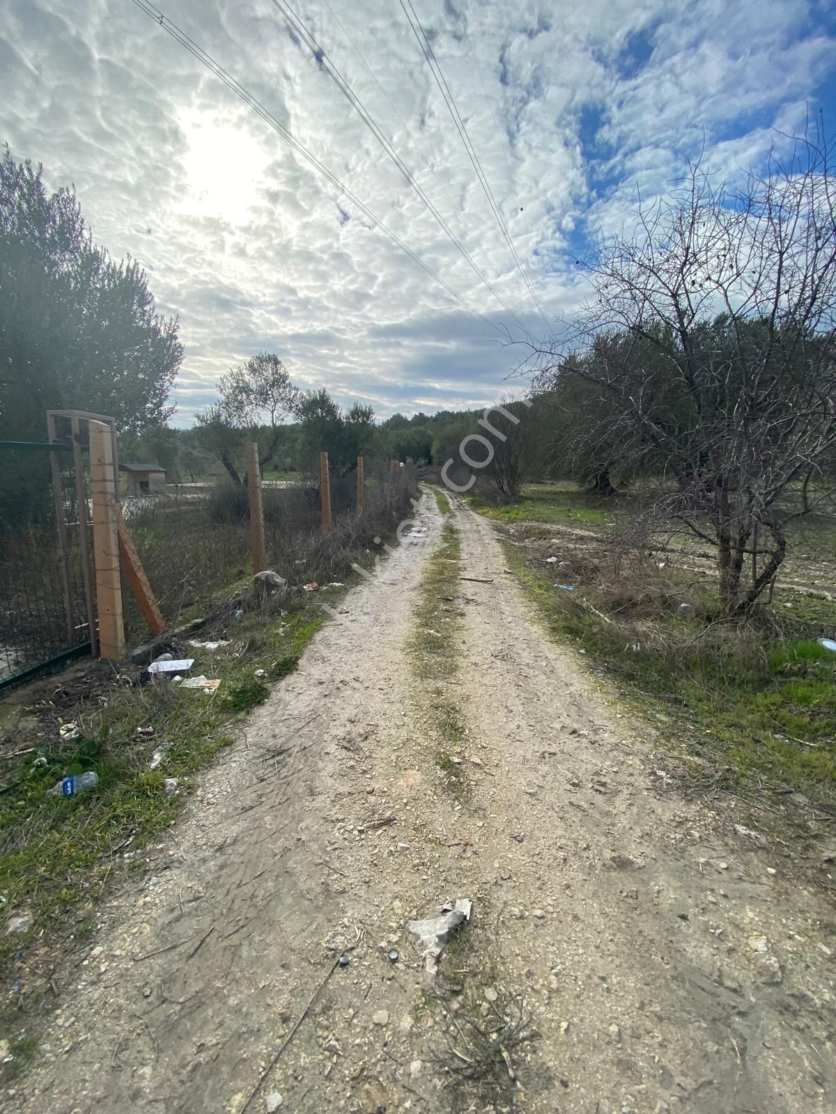 New Gyo 'dan Bakır Mevki Ana Yola Sıfır 1.525 M2 Satılık Zeytinlik - Görsel 18
