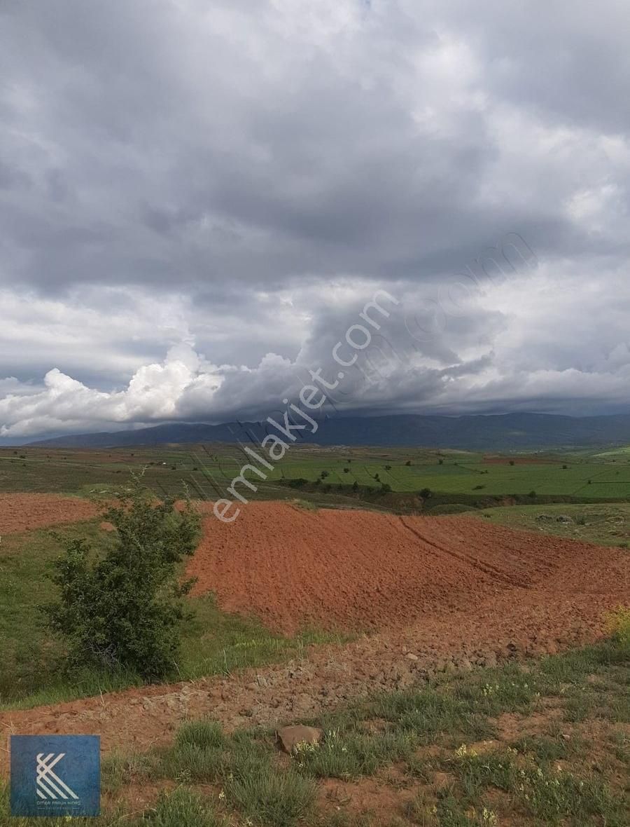 Sarıoğlan Sofumahmut Satılık Tarla Satılık Yatırımlık Süper Tarla