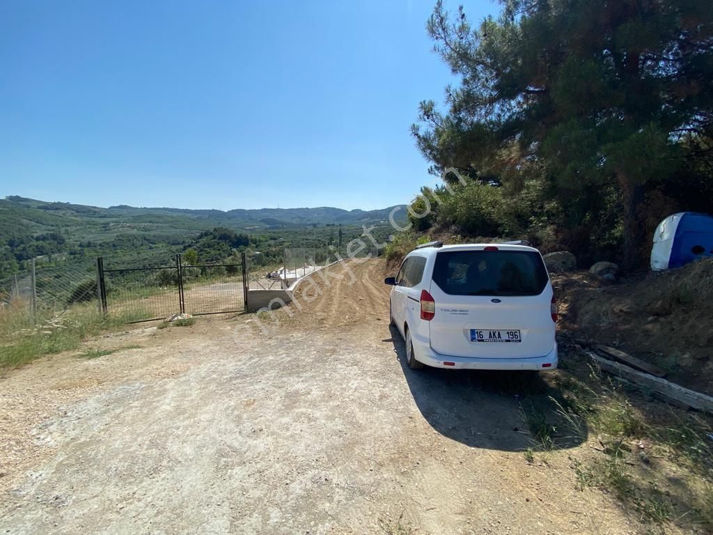 Satılık Mudanya Işıklı Mahallesi 7741m2 Kadastro Yoluna Cephe Fırsat Arazi - Görsel 10