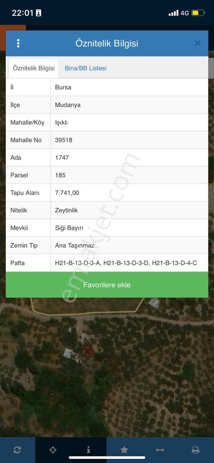 Satılık Mudanya Işıklı Mahallesi 7741m2 Kadastro Yoluna Cephe Fırsat Arazi - Görsel 9