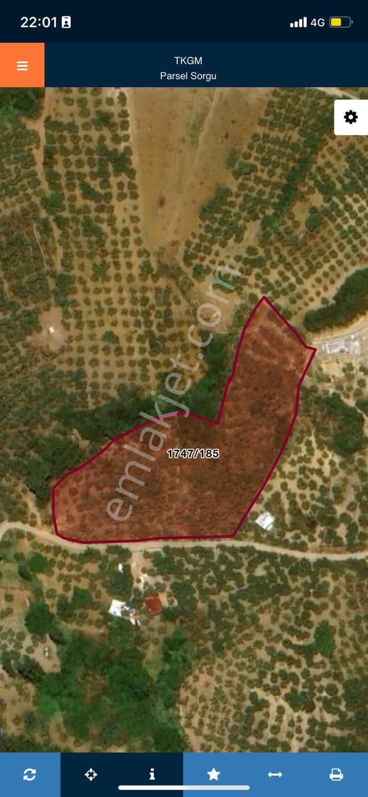 Satılık Mudanya Işıklı Mahallesi 7741m2 Kadastro Yoluna Cephe Fırsat Arazi - Görsel 8