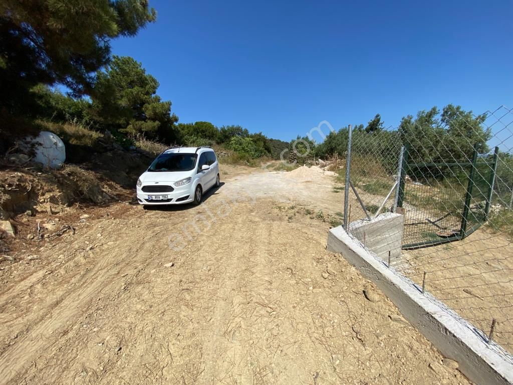 Satılık Mudanya Işıklı Mahallesi 7741m2 Kadastro Yoluna Cephe Fırsat Arazi - Görsel 4
