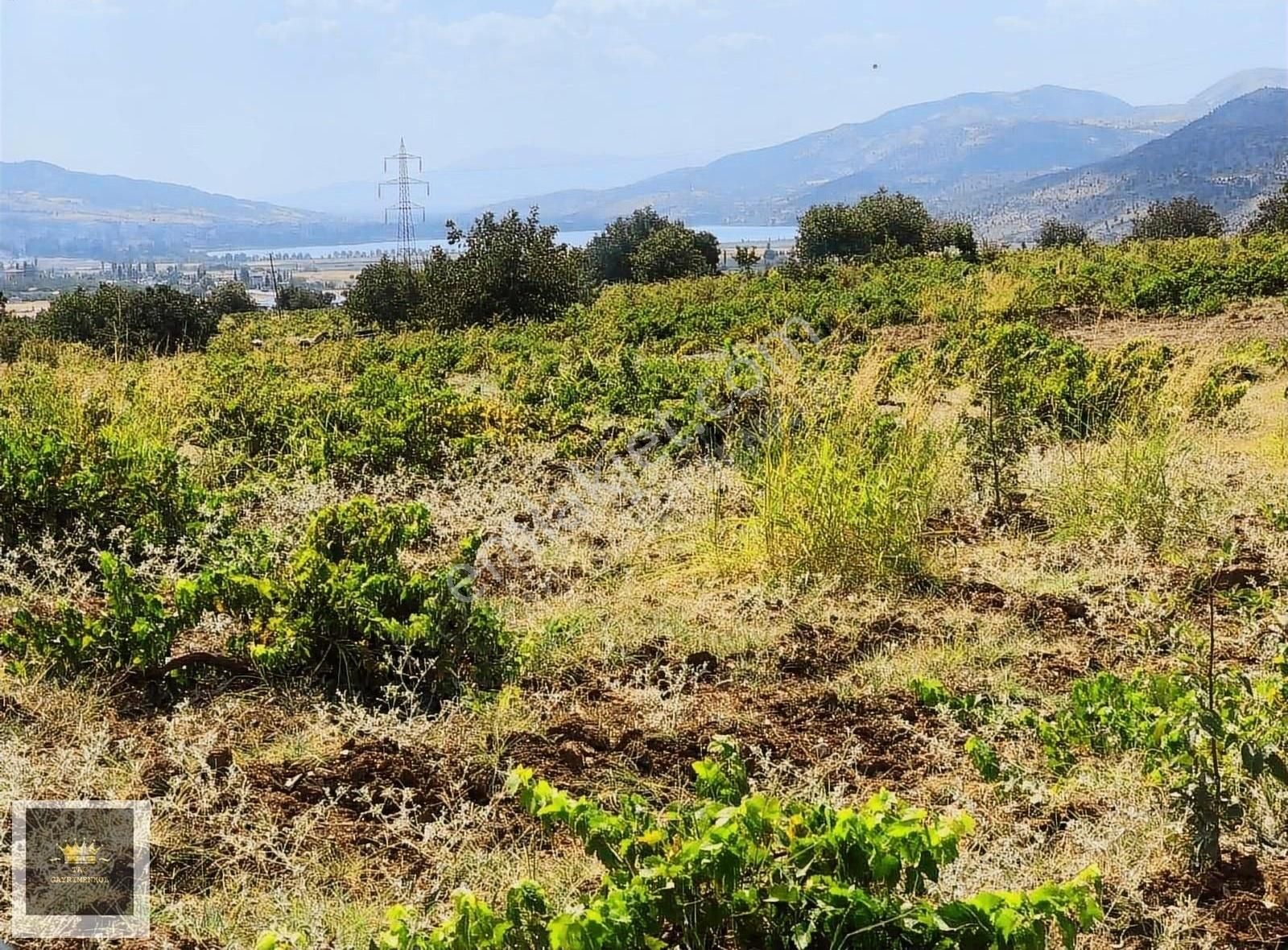 Gölbaşı Ozan Köyü Satılık Bağ & Bahçe Taç Gm Meryemden Golbaşinda Ozan Köyü Göl Manzaralı Arsa