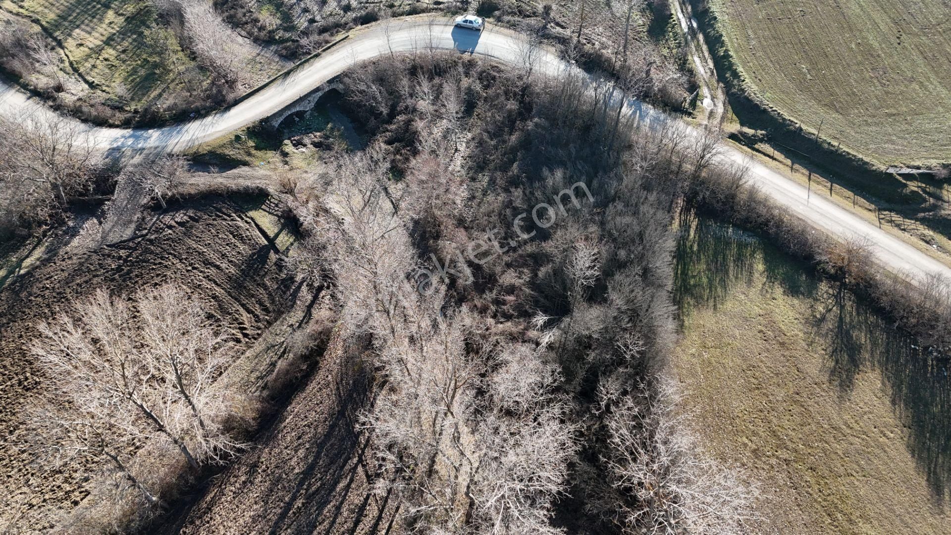 Kastamonu Merkez Halife Köyü (Merkez) Satılık Tarla Kastamonu Emlak Gayrimenkulden Satılık Halife Köyü Yol Kenarı 659 M² Tarla