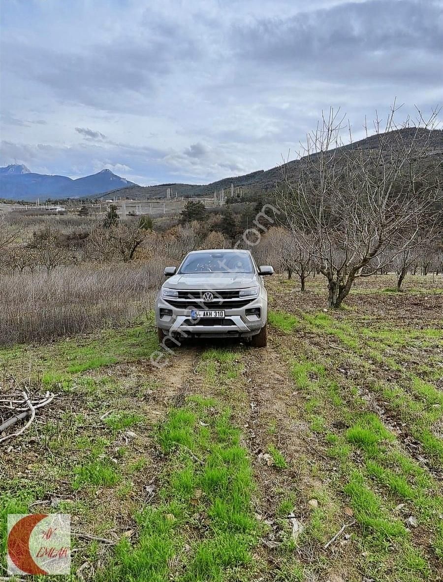 Geyve Ahibaba Satılık Bağ & Bahçe Ay Emlak'tan Akseki Ovasında Bakımlı Meyve Bahçesi