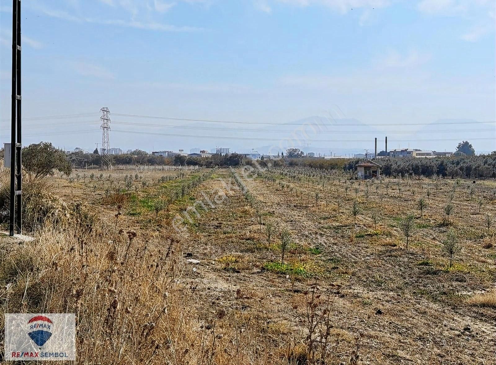 Turgutlu Mustafa Kemal Satılık Tarla Manisa Turgutluda 1595 M² Satılık Zeytin Tarlası