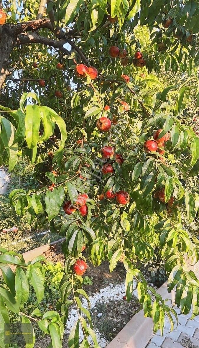 Mamak Lalahan Süper Satılık Çiftlik Evi - Görsel 11