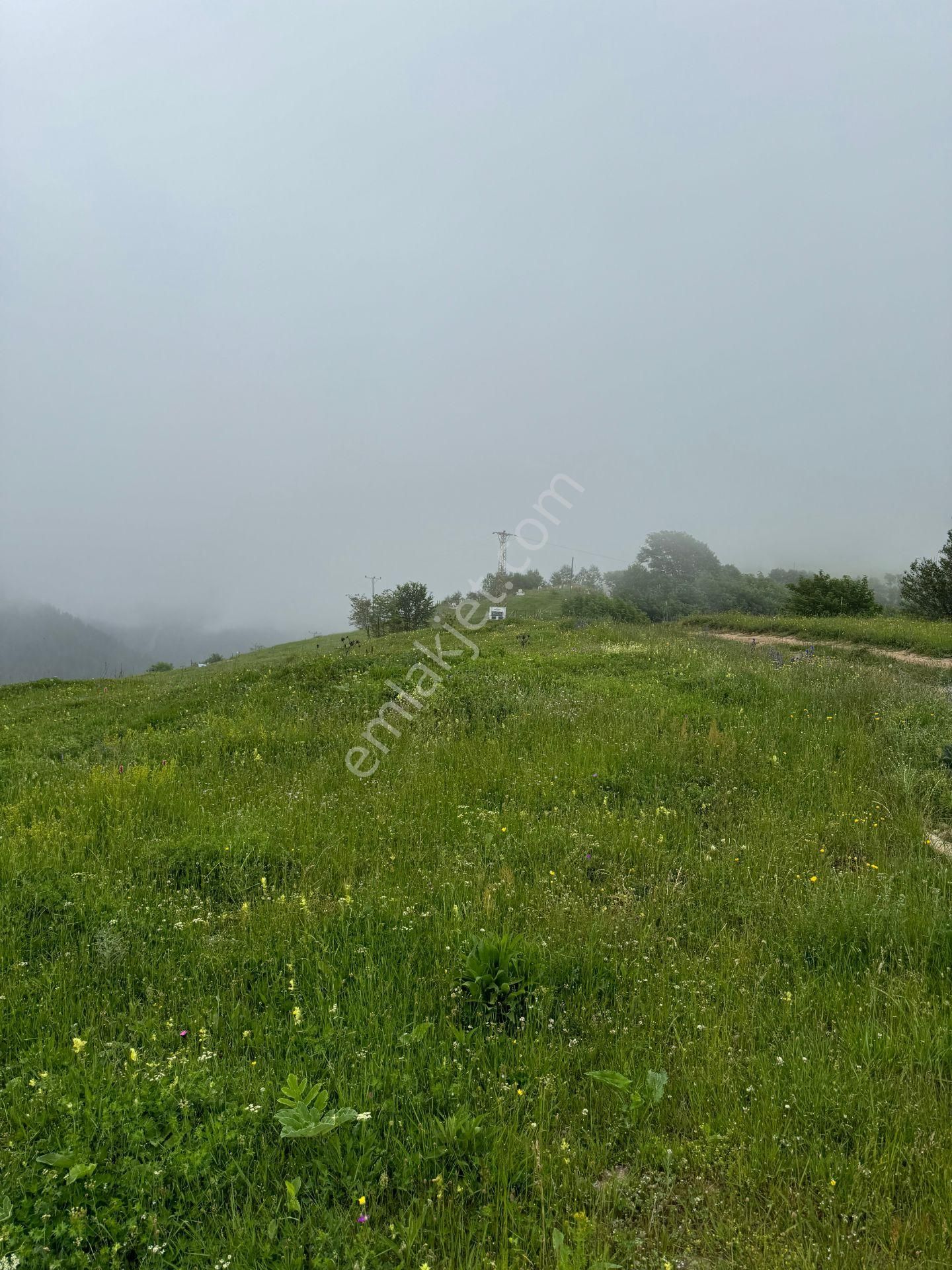 Dereli Uzundere Köyü (Kümbet) Satılık Konut İmarlı İnanç Emlaktan Kümbet Uzundere Köyünde 2 Komşu Arsa -2 Ayrı Tapu