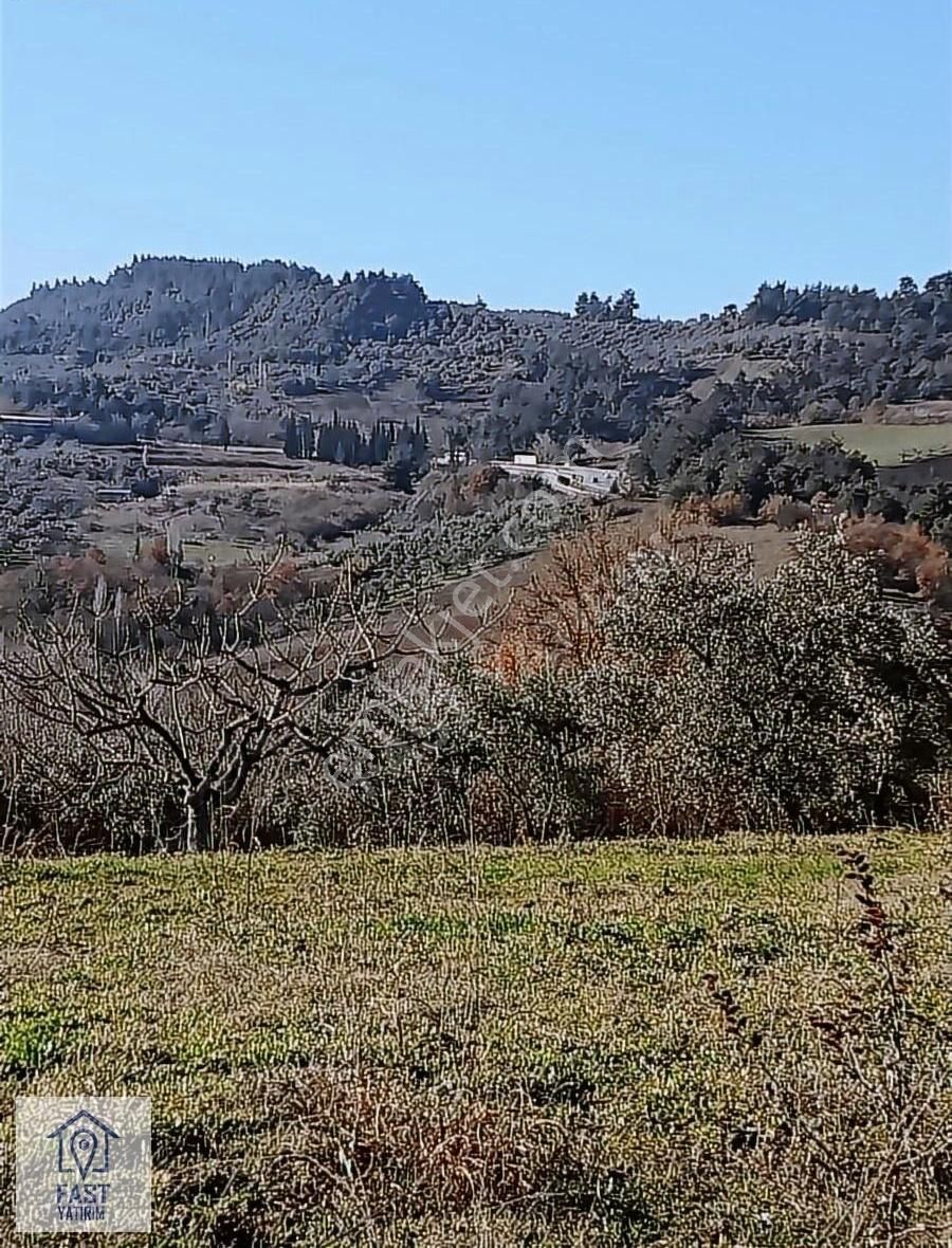 Osmangazi Selçukgazi Satılık Tarla Bursa'nın Gözde Yeri Dürdane Köyü Civarı Satılık Tarla.