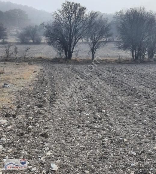 Kütahya Merkez Seydiköy Köyü Satılık Tarla Küçük Bütçeyle Asfalta Ve Köye Yakın Çapı Düzgün Verimli Tarla